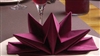 Serviette papier prepliee Celi'D etoile bordeaux etui de 12