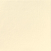Serviette Dunilin non tisse champagne 48 x 48 cm paquet de 400