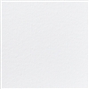 Serviette Dunilin non tisse Blanche 40x40 colis de 600
