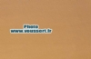 Nappe papier 80 x 120 cm havane colis de 250