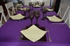Rouleau nappe non tissé intissé violet 1,20 X 50 m Celisoft