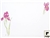 Acheter Nappe jetable de table "iris violet" 30 X 40 colis de 500
