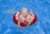 Acheter Bouée Swimtrainer enfant Rouge 3 mois à 4 ans