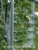 Acheter Jalousie aluminium pour serre jardin