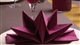 Acheter Serviette papier pliage etoile bordeaux etui de 12