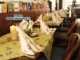 Acheter Surnappe Duni Dunicel Olive Twigs 84x84 carton de 100