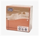Acheter Serviette papier Tork gauffree teracotta liseré graphique 40x40