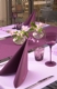 Acheter Tete a tete intissé aubergine 40 x 120 paquet de 100