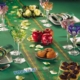 Acheter Chemin de table papier Volga vert 0,30 x 24 m colis de 6