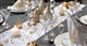Acheter Chemin de table célibio Noel Volute Argent 0,30 x 12 m colis de 6