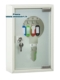 Acheter Armoire a clef 10 clefs gris porte translucide