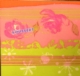 Acheter Serviette non tissee coeur de rose ete 40x40 colis de 250