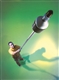 Acheter Ceuilleur de projecteur Unger