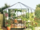 Acheter Serre de jardin hexagonale 9 m2 Hera 9000 double porte