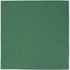 190112 - Serviette papier ouate 38X38 vert sapin paquet de 40
