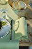 Serviette bio dunisoft 40x40 vert pistache colis de 360