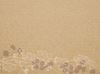 Set papier kraft floral 30 x 40 par 400
