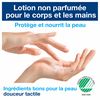 Tork lotion main et corps sans parfum 8x475 ml