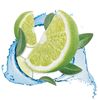 Détergent désinfectant désodorisant citron vert dosette