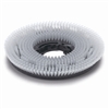 Brosse douce nylon shampoing moquette Numatic D 450 mm