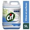 Cif professional vitres et multisurfaces 5L