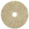Disque coco fibre naturelle 610 mm colis de 5