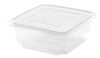 Boite salade 1500 grs par 200