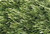 GRASS12507 - Tapis gazon aspect naturel grass 1x25m
