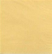 Serviette papier cocktail ivoire CGMP 20X20 paquet de 100
