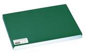 Set de table papier 30 x 40 vert sapin les 500