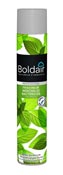 Boldair menthe bactéricide 500 ml