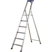 Escabeau professionnel pro 54 6 marches