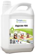 Algicide piscine 100 préventif 5 L