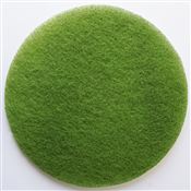 Disque diamant Janex D 254 mm vert N4 grain 3000 par 2