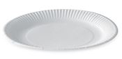 Assiette carton blanche 23 cm par 500