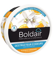 Destructeur d'odeur pour poubelle - 350 g