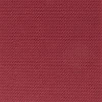 50 Serviettes Pistache Papiers Jetables 38 x 38 cm 2 Plis Pure Ouate /