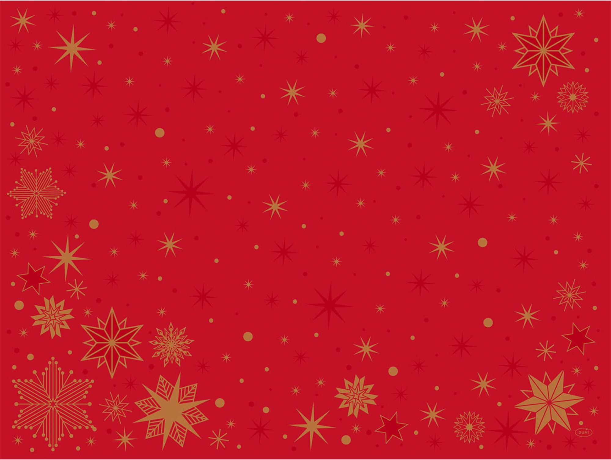 211544 - Set de table noel Bio Dunicel 30 x 40 cm par 500