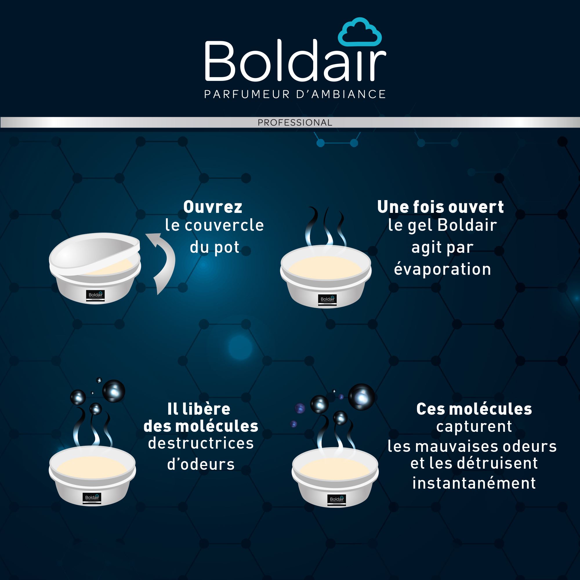 Gel Destructeur d'odeur BolDair bois parfumant - Hypronet