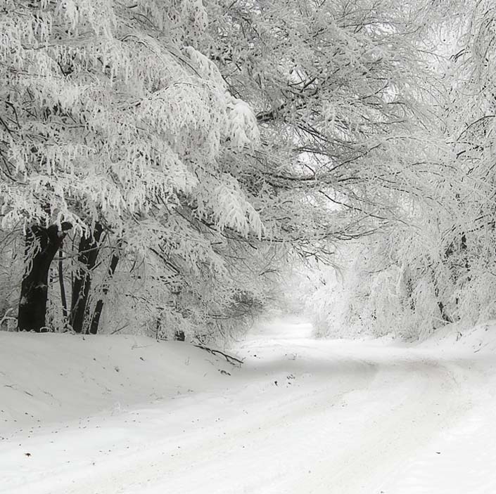 Utiliser un épandeur pour répandre le sel de déneigement Seko