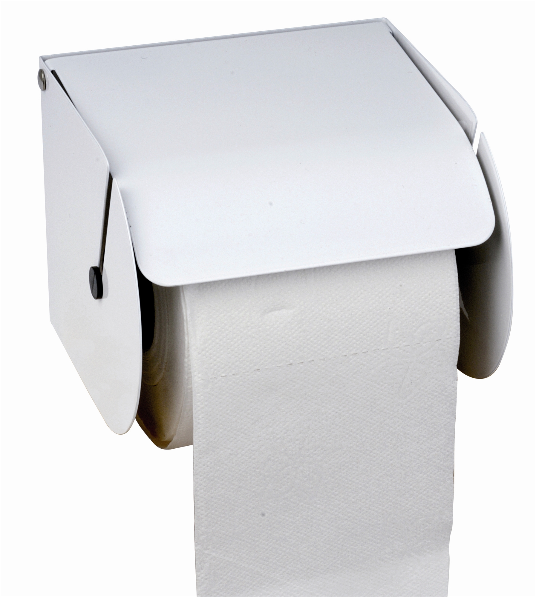 Rouleau De Papier Toilette Sur Porte Papier Métal. Papier