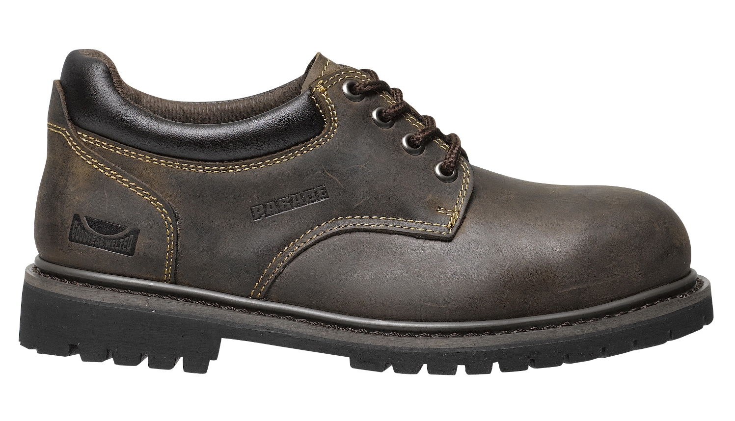 tiger chaussure homme