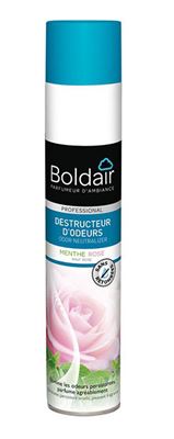 Boldair destructeur d’odeurs Menthe Rose 500 ml