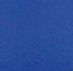 Serviette papier 30X39 bleu marine 2 plis colis de 2400