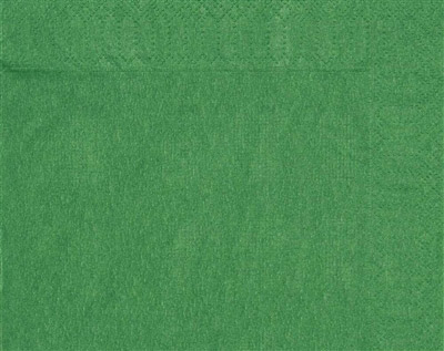 Serviette papier 30X39 vert sapin 2 plis colis de 2400