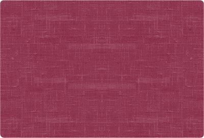 Set de table silicone bordeaux 30 x 45 cm Duni paquet de 6