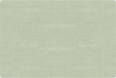 Set de table silicone vert pistache 30 x 45 cm Duni paquet de 6