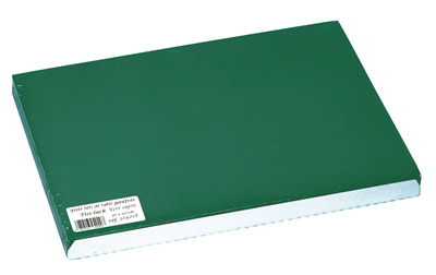 Set de table papier 30 x 40 vert sapin les 500