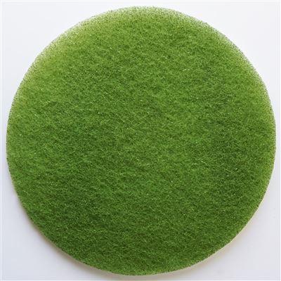 Disque diamant Janex D 254 mm vert N4 grain 3000 par 2