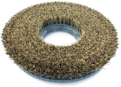 Brosse coco crin Nilfisk 530 mm